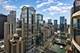 300 N State Unit 4911, Chicago, IL 60654