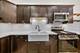 3315 S Lowe, Chicago, IL 60616