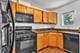 3811 W School Unit C, Chicago, IL 60618