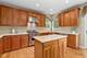 4250 Meadowview, Glenview, IL 60026