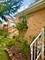 2235 S 18th, Broadview, IL 60155