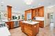 1028 Shady, Glen Ellyn, IL 60137