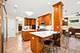 1028 Shady, Glen Ellyn, IL 60137