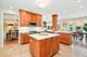 1028 Shady, Glen Ellyn, IL 60137