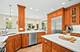 1028 Shady, Glen Ellyn, IL 60137