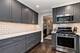 240 E Sibley, Park Ridge, IL 60068