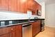 1255 S State Unit 1902, Chicago, IL 60605