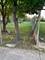 2425 W Roosevelt, Chicago, IL 60608