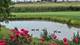 21103 W Cypress, Plainfield, IL 60544