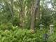 2461 Tall Oaks, Elgin, IL 60123