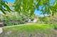 2113 Forestview, Evanston, IL 60201