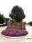 1604 Augusta, Shorewood, IL 60404