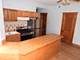 2519 S Millard Unit 3, Chicago, IL 60623