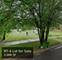 2839 W Arthington, Chicago, IL 60612