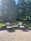 1099 W Jefferson, Naperville, IL 60540