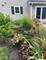 1099 W Jefferson, Naperville, IL 60540