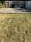 10217 S Prairie, Chicago, IL 60628