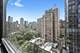 1313 N Ritchie Unit 1304, Chicago, IL 60610
