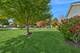 2541 Harvest Valley, Elgin, IL 60124