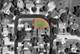 Block 153 Joseph, Woodstock, IL 60098