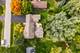 23W620 Walnut, Roselle, IL 60172