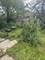 1205 E 93rd, Chicago, IL 60619