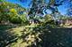 18256 W Il Route 120, Grayslake, IL 60030