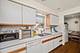 4814 Elm, Skokie, IL 60077