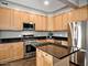 1325 W George Unit 1, Chicago, IL 60657