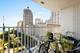 1000 N Lake Shore Unit 13A, Chicago, IL 60611