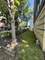 1153 N Cambridge, Chicago, IL 60610