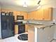 6571 Pine Lake Unit 6571, Tinley Park, IL 60477