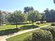 6571 Pine Lake Unit 6571, Tinley Park, IL 60477