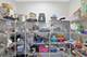 12961 Bull Ridge, Huntley, IL 60142