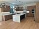 15966 S Crystal Creek, Homer Glen, IL 60491