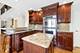 10652 Lexington, Frankfort, IL 60423