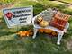 18751 Kings, Homewood, IL 60430