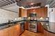 1910 S Indiana Unit 523, Chicago, IL 60616