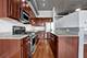 1069 W 14th Unit 329, Chicago, IL 60608