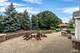 3003 Kingbird, Naperville, IL 60564
