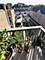 2035 N Kedzie Unit 3, Chicago, IL 60647