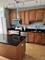 1250 S Indiana Unit 606, Chicago, IL 60605