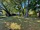 15530 University, Dolton, IL 60419