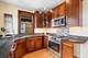 3614 N Hamlin, Chicago, IL 60618