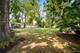 1017 Willow, Batavia, IL 60510