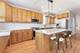 2234 W Melrose Unit 2, Chicago, IL 60618