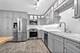 249 S Vine Unit B, Park Ridge, IL 60068