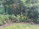 1429 Terry, Glendale Heights, IL 60139