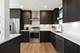 221 E Walton Unit 19E, Chicago, IL 60611
