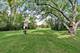 1221 Lincoln, Fox River Grove, IL 60021